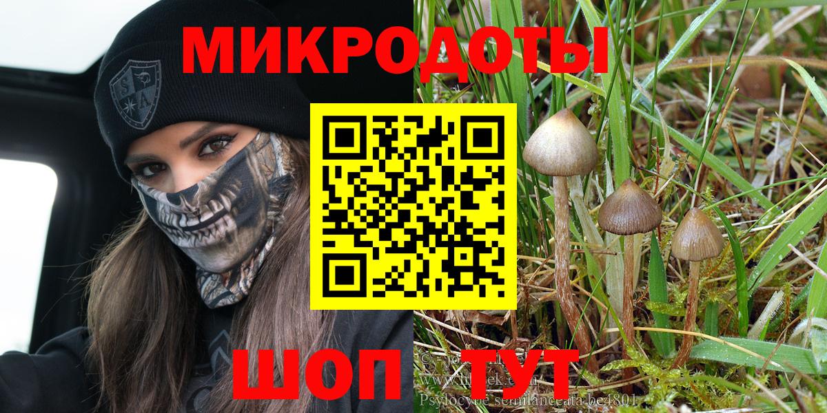 Галлюциногенные грибы мицелий  продажа наркотиков  Петропавловск-Камчатский  Вход с VPN 